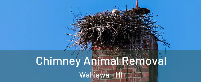  Chimney Animal Removal Wahiawa - HI