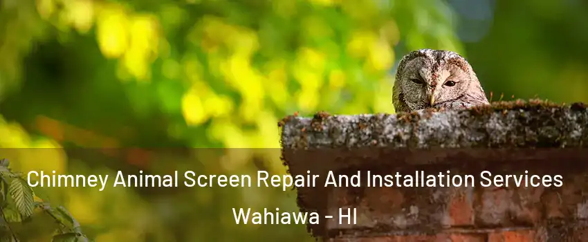  Chimney Animal Screen Repair And Installation Services Wahiawa - HI