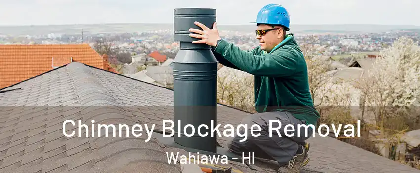  Chimney Blockage Removal Wahiawa - HI