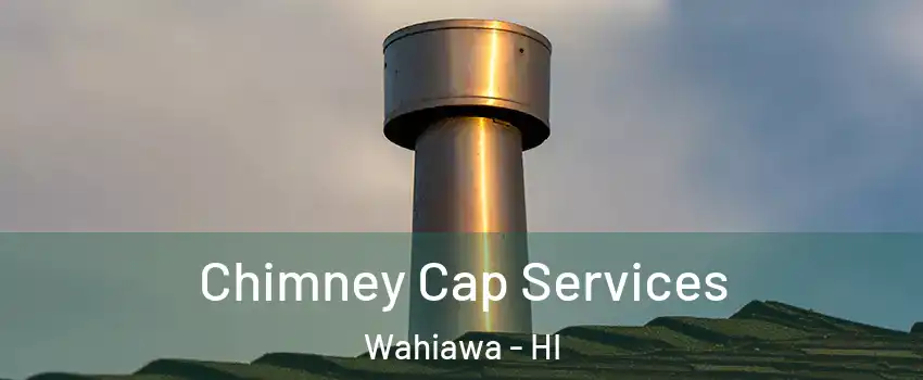  Chimney Cap Services Wahiawa - HI