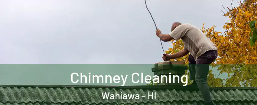  Chimney Cleaning Wahiawa - HI