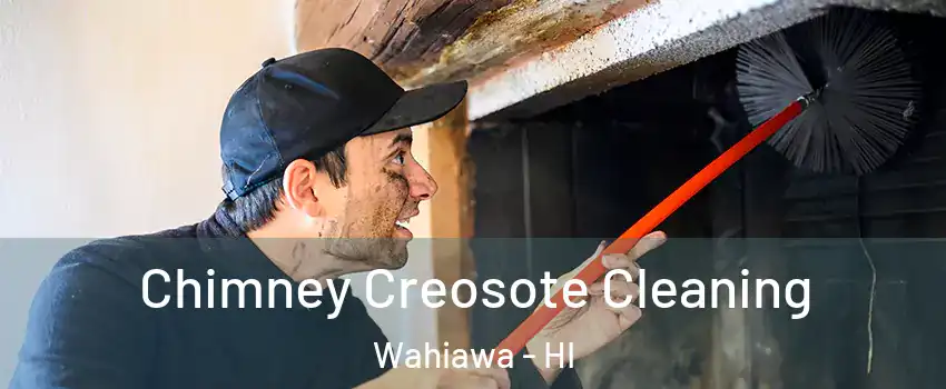  Chimney Creosote Cleaning Wahiawa - HI