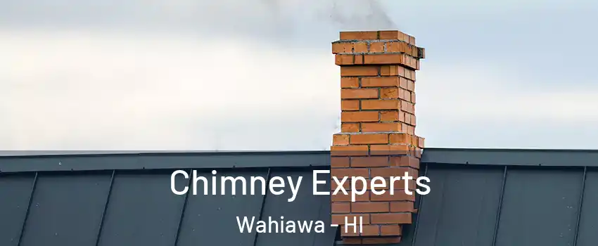  Chimney Experts Wahiawa - HI