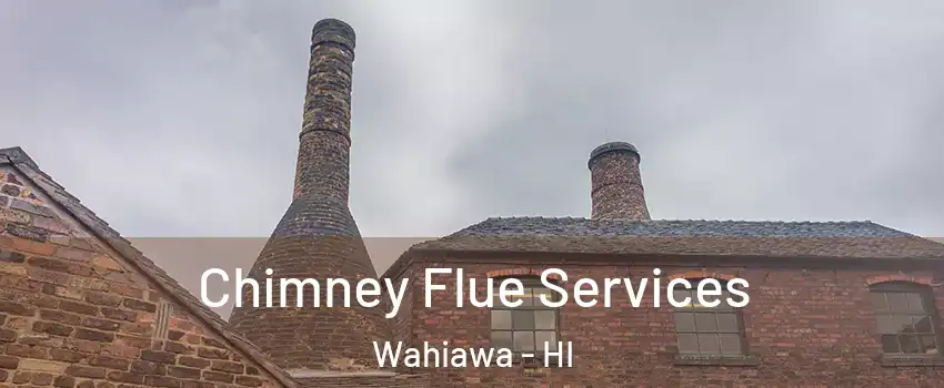  Chimney Flue Services Wahiawa - HI