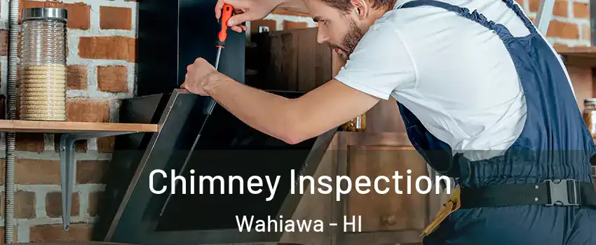 Chimney Inspection Wahiawa - HI
