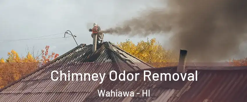  Chimney Odor Removal Wahiawa - HI