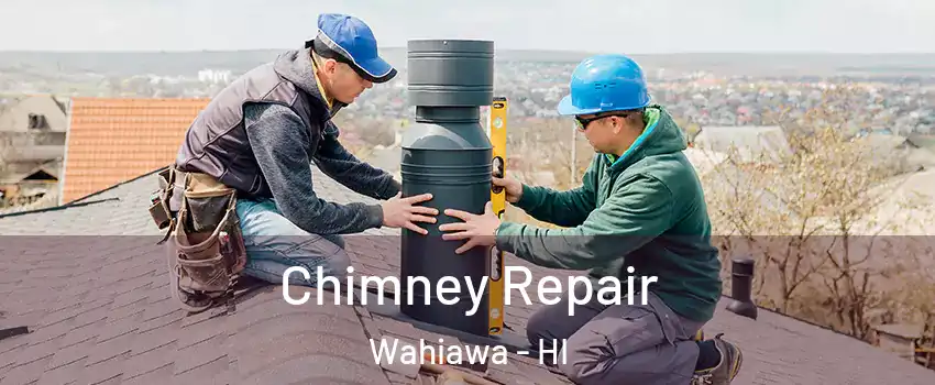  Chimney Repair Wahiawa - HI