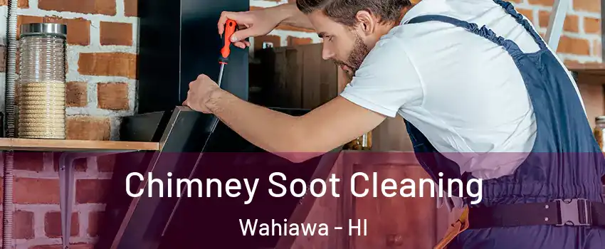  Chimney Soot Cleaning Wahiawa - HI