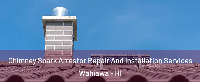  Chimney Spark Arrestor Repair And Installation Services Wahiawa - HI