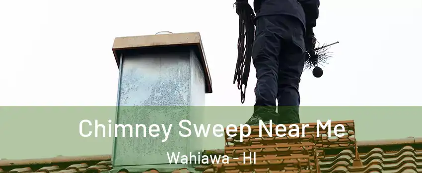  Chimney Sweep Near Me Wahiawa - HI