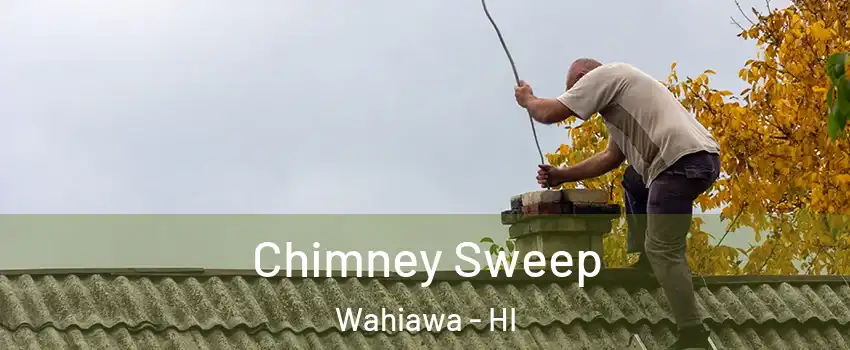  Chimney Sweep Wahiawa - HI