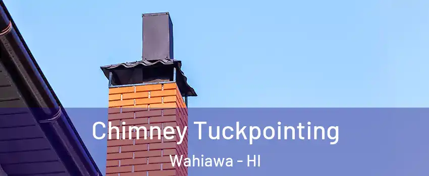  Chimney Tuckpointing Wahiawa - HI