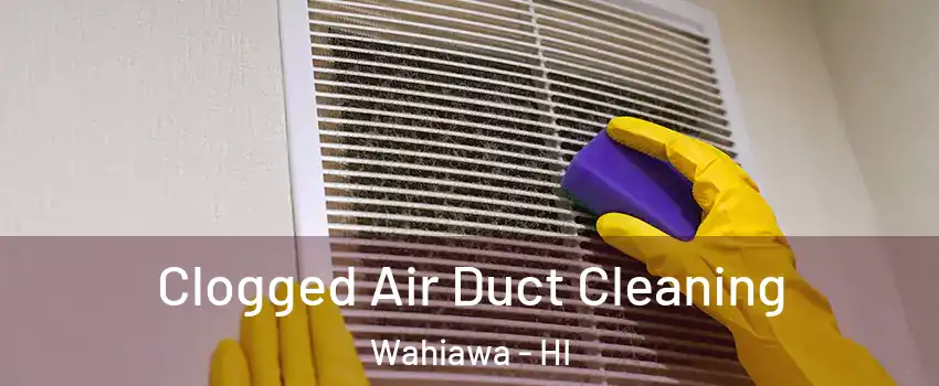  Clogged Air Duct Cleaning Wahiawa - HI