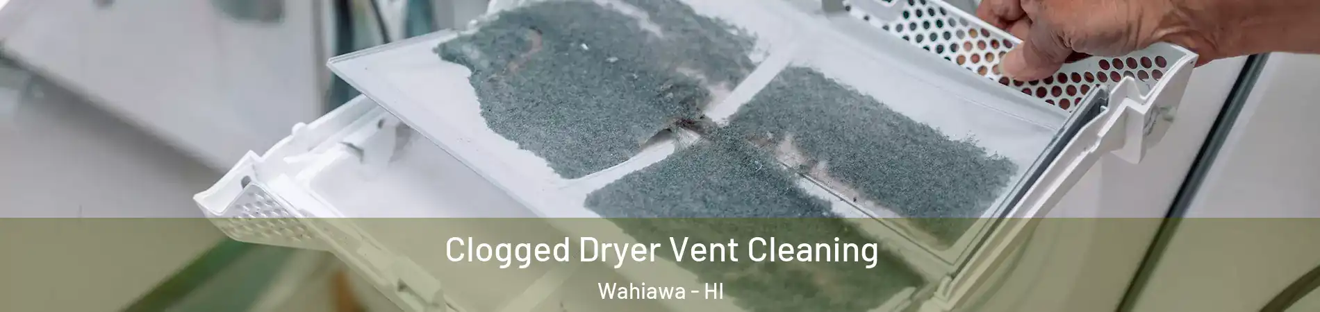  Clogged Dryer Vent Cleaning Wahiawa - HI