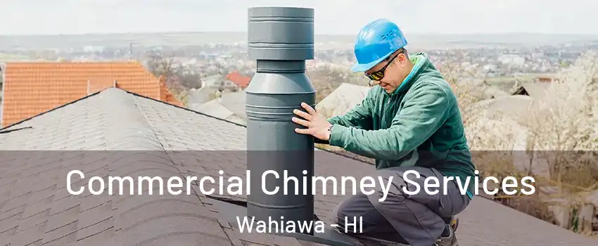  Commercial Chimney Services Wahiawa - HI