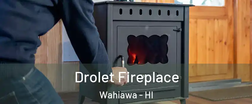  Drolet Fireplace Wahiawa - HI