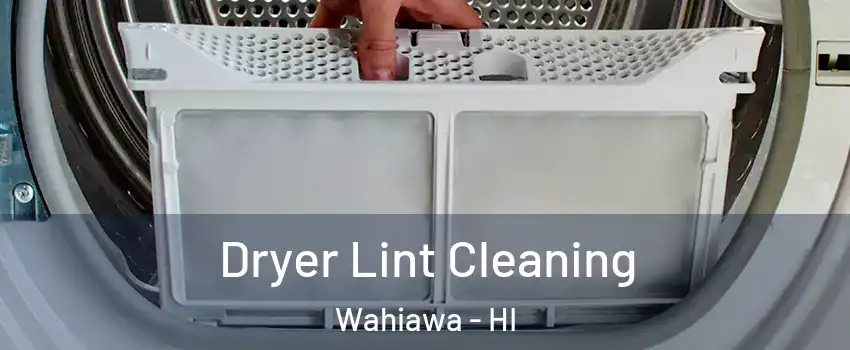  Dryer Lint Cleaning Wahiawa - HI