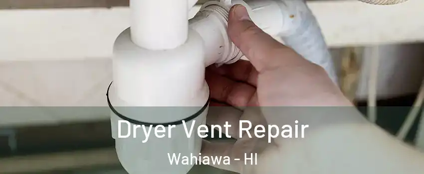  Dryer Vent Repair Wahiawa - HI