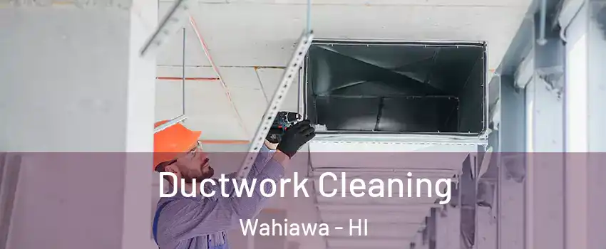  Ductwork Cleaning Wahiawa - HI