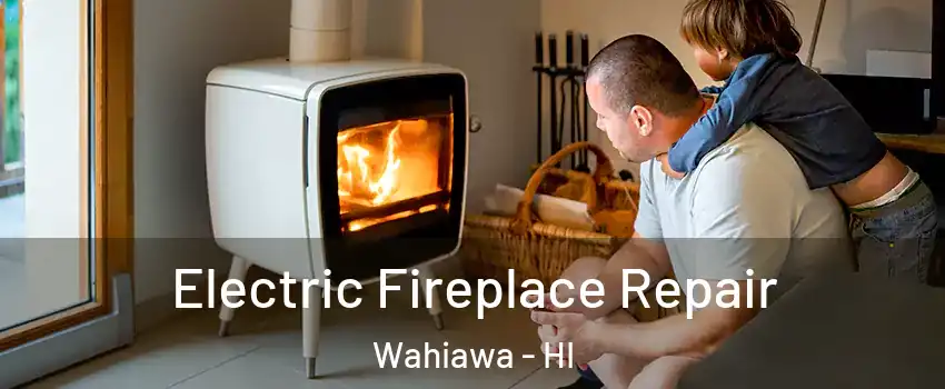  Electric Fireplace Repair Wahiawa - HI