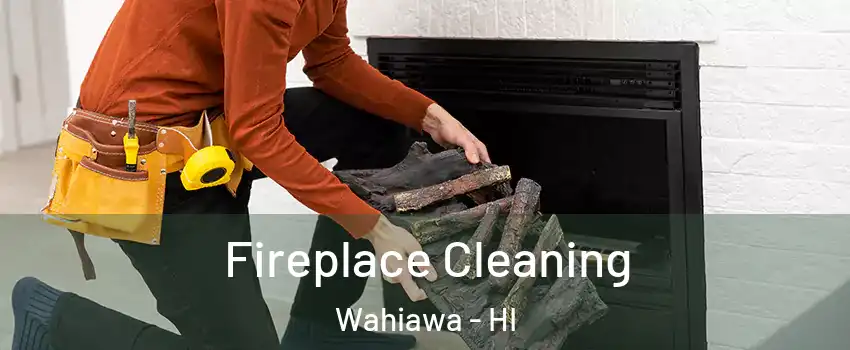  Fireplace Cleaning Wahiawa - HI