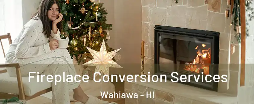  Fireplace Conversion Services Wahiawa - HI