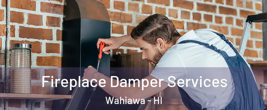  Fireplace Damper Services Wahiawa - HI