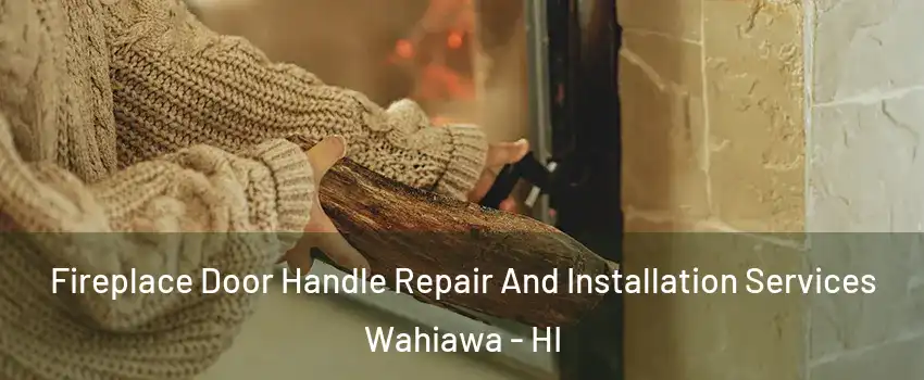  Fireplace Door Handle Repair And Installation Services Wahiawa - HI