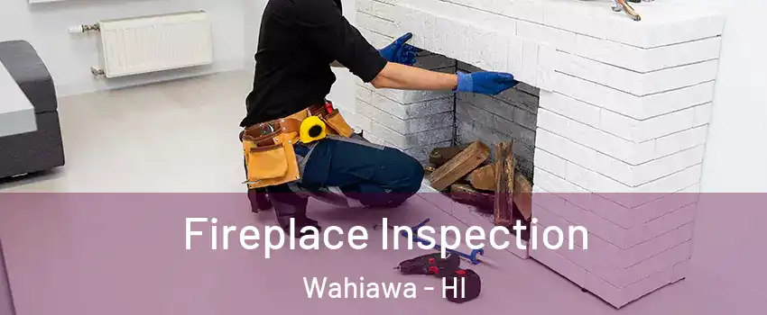  Fireplace Inspection Wahiawa - HI