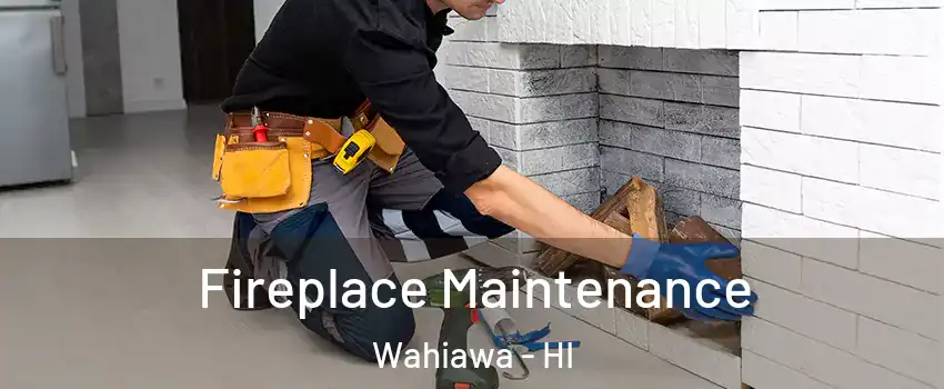  Fireplace Maintenance Wahiawa - HI
