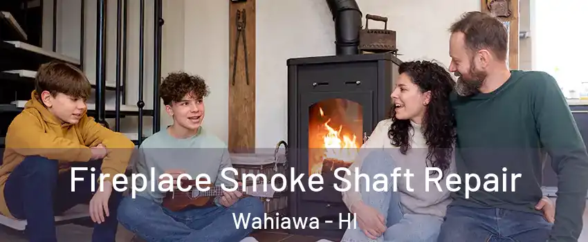  Fireplace Smoke Shaft Repair Wahiawa - HI