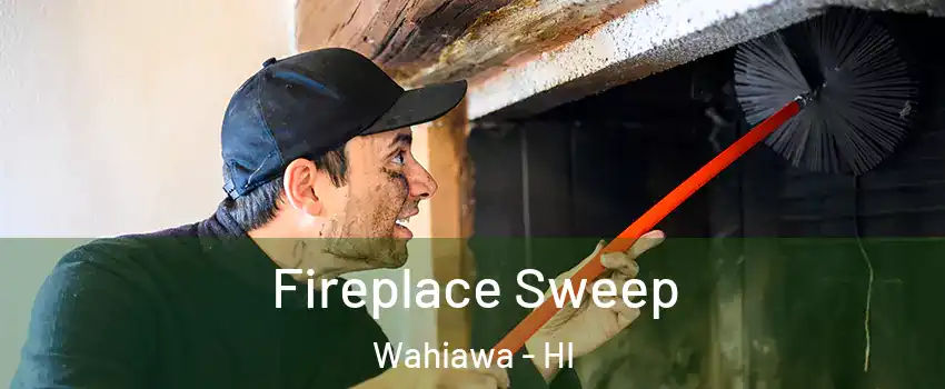  Fireplace Sweep Wahiawa - HI