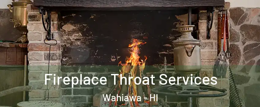  Fireplace Throat Services Wahiawa - HI