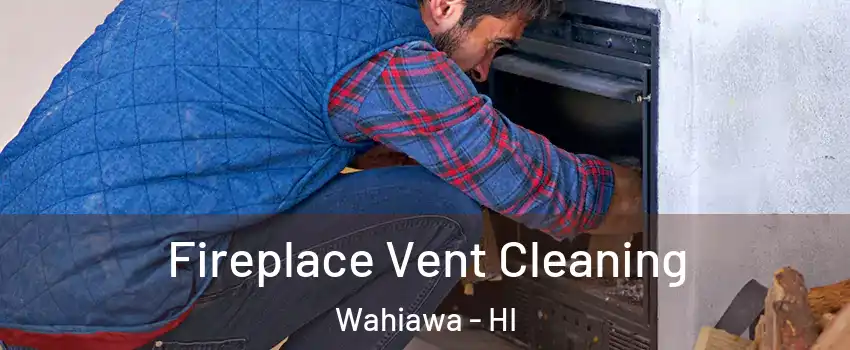  Fireplace Vent Cleaning Wahiawa - HI
