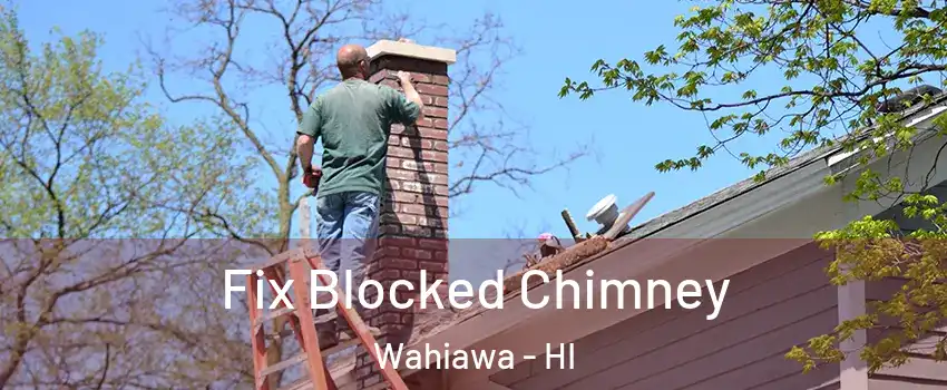  Fix Blocked Chimney Wahiawa - HI