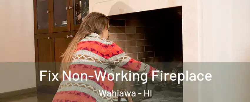  Fix Non-Working Fireplace Wahiawa - HI