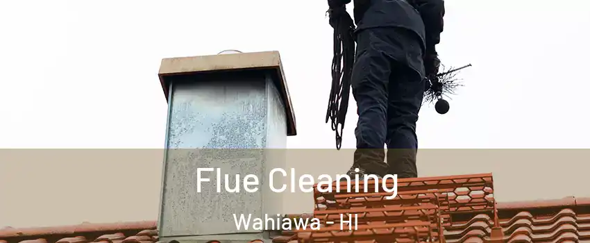  Flue Cleaning Wahiawa - HI