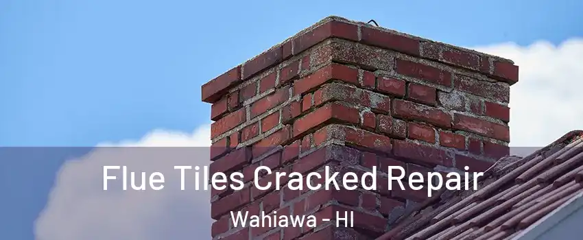  Flue Tiles Cracked Repair Wahiawa - HI