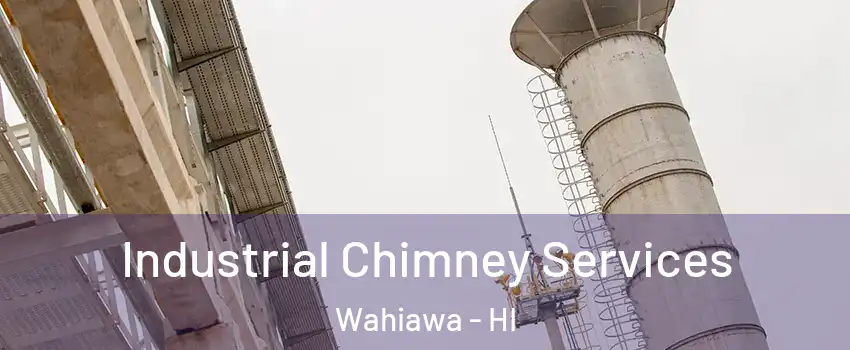  Industrial Chimney Services Wahiawa - HI
