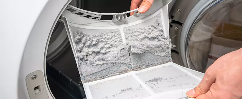 Best Dryer Lint Removal Company in Wahiawa, Hawaii