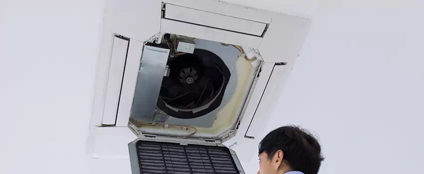 Benefits of Professional Air Duct Cleaning in Wahiawa, Hawaii