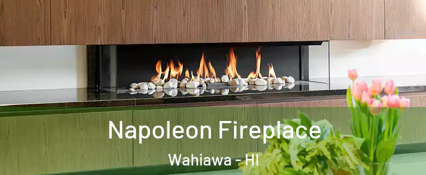  Napoleon Fireplace Wahiawa - HI