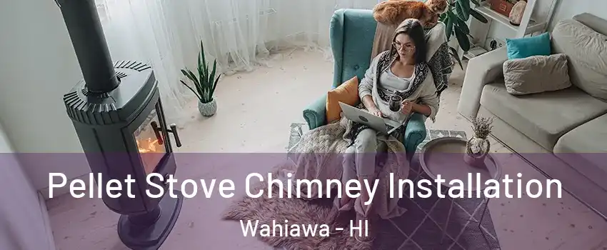  Pellet Stove Chimney Installation Wahiawa - HI
