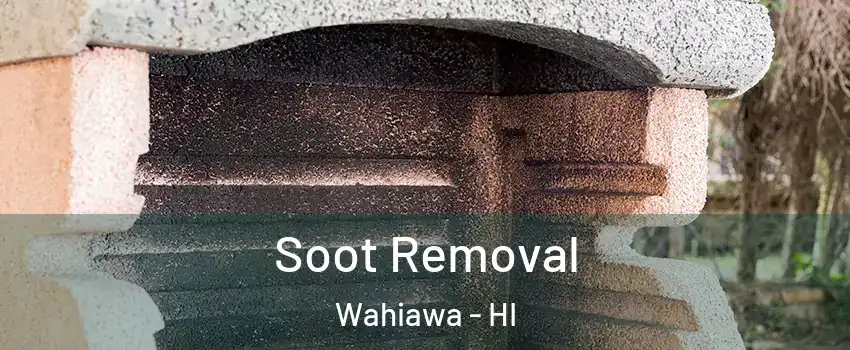  Soot Removal Wahiawa - HI