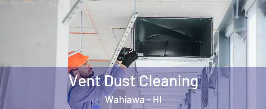  Vent Dust Cleaning Wahiawa - HI